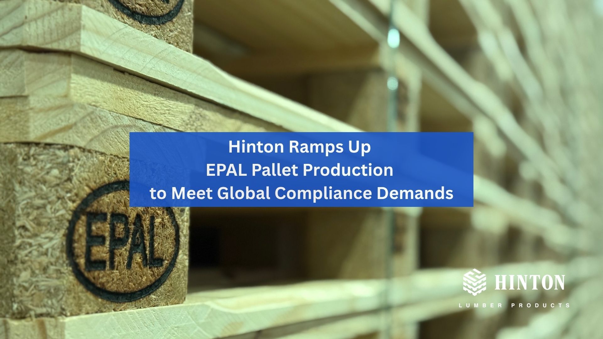 Hinton Lumber Products Ramps Up Euro Pallet Production to Meet Global Compliance Demands
