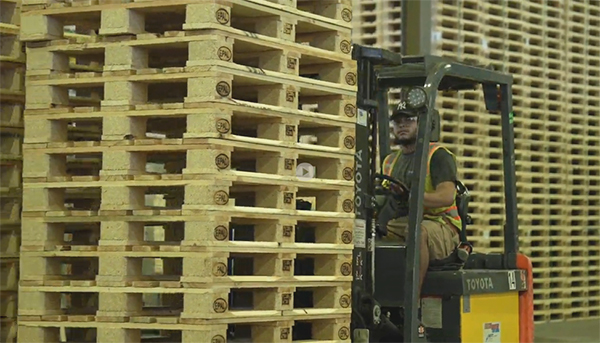 forklift operator moving EPAL pallets for shipping internationally